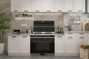 奧田集成灶,高顏值烹飪助手強勢來襲