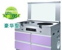 大量1下排氣集成環(huán)保灶[供應]_世界工廠網(wǎng)中國產品信息庫