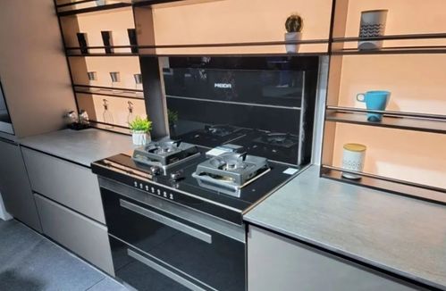 領(lǐng)銜廚電板塊增長,awe2022告訴你集成灶憑什么 出圈