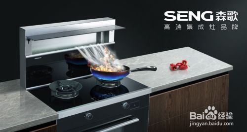 帥豐集成灶怎么樣 排名前十的集成灶哪個(gè)好